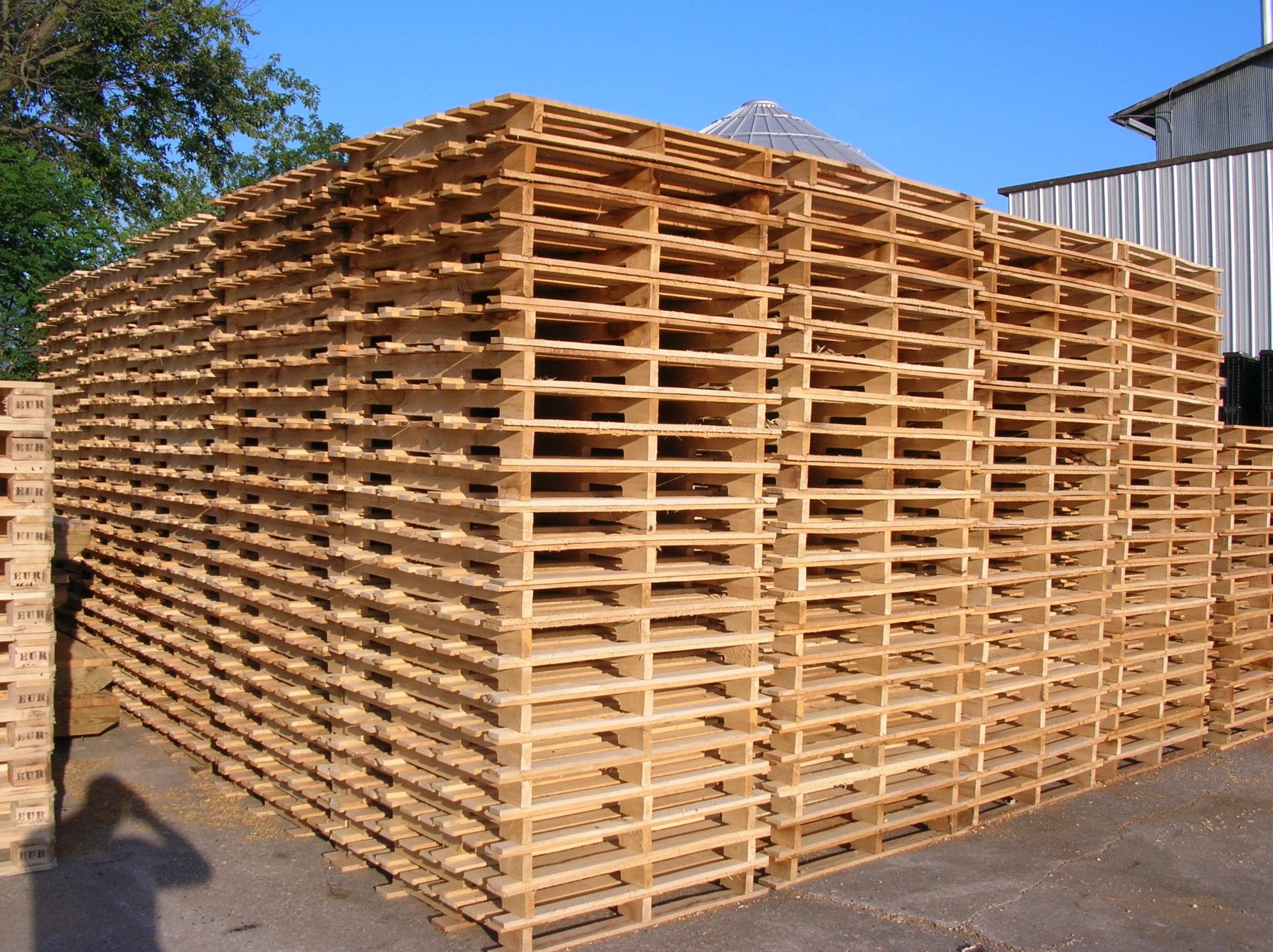 star pallet (3) star pallet (3)